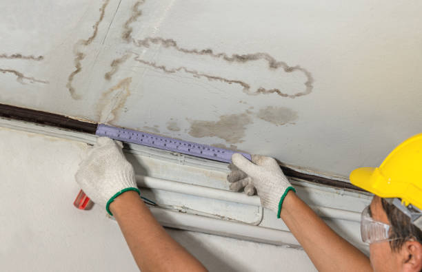 Reliable Burst Pipe Cleanup contractor in Whiteville, TN by Water Damage Irwin